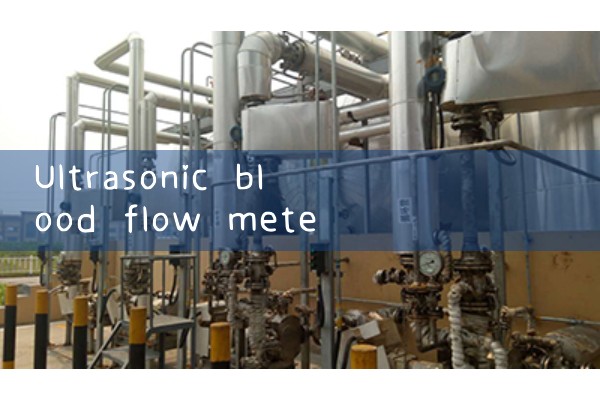 ultrasonic blood flow meter|orifice meter